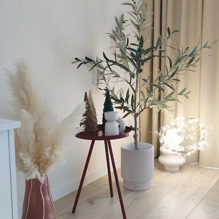 Marina Bay & * Dziwnów